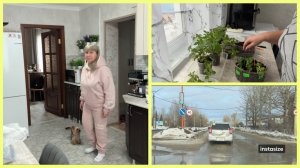 У нас ВЕСНА😍ЧЕРЕНКУЮ ПЕТУНИИ. Легкий УЖИН 🥗