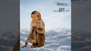 гадайте какого я года😛//всех с днём святого Валентина!//анимации//года//капкут//актив//в топ//ода//