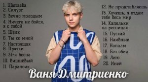 Ваня Дмитриенко новинки и хиты Силуэт (Анна Пересильд), Шёлк, Цветаева, Вишневый Настоящая и Иней