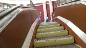 ДОРОГА К ДОМУ.