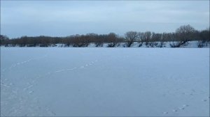 Рыбалка на Дону, мкр. Малышево, Понтонный мост. Оттепель, 12.02 - 13.02. 2026 года