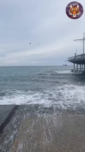 Зимний Шторм #ялта#море#блогер#tigrvtanke Зимний Шторм #ялта#море#блогер#tigrvtanke