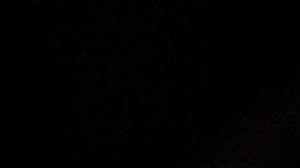 Перелётная птица