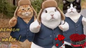 14 февраля День Всех Влюбленных. День Святого Валентина Красивая музыкальная открытка