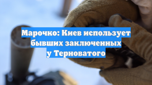 Марочко: Киев использует бывших заключенных у Терноватого