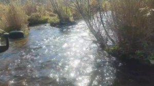 Я никому и ничего не должен...