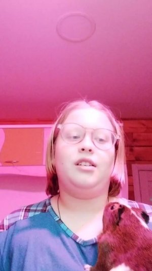 моя комната в деревне