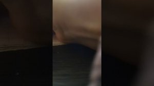 VID_20260214_141122.mp4