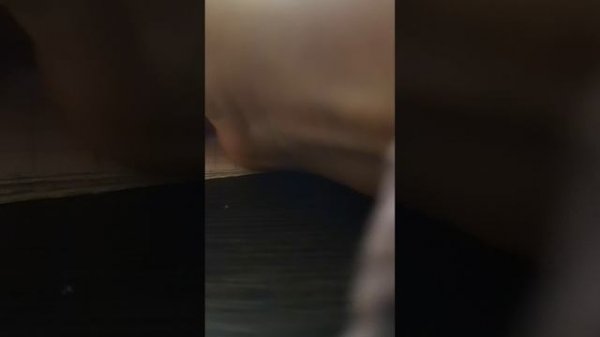 VID_20260214_141122.mp4