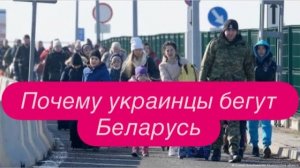 Чему поразилась украинка, поселившая у себя свою родню из Украины. #новости #беженцыизукраины