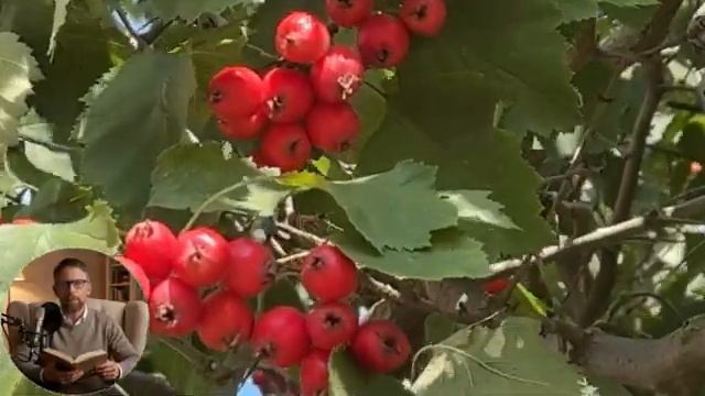 Подруга. смотреть онлайн