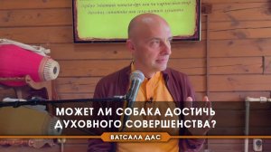 Может ли собака достичь духовного совершенства? Е.М. Ватсала прабху
