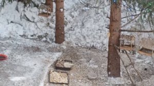 новые белки с утра.Карта на корм зверятам 2202 2062 6013 7323