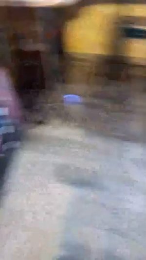 собираемся в школу.