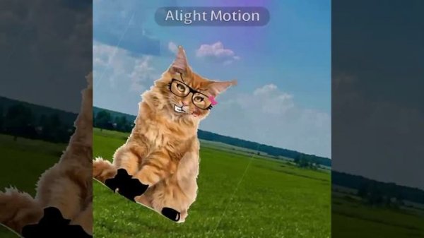 ответка для Дарины