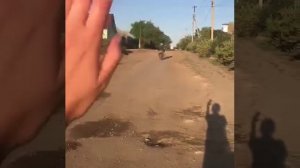 Девочки текут