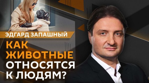 Эдгард Запашный и Нина Ватт. Куда ведет глобальное потепление и что коты думают про людей