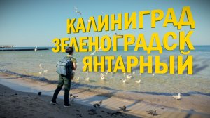 Калининград | Зеленоградск | Янтарный. Классное путешествие в сентябре.