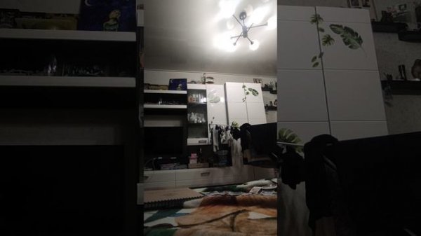 🇷🇺🇷🇺🇷🇺🇷🇺🇷🇺🇷🇺🇷🇺🇷🇺