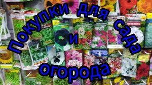 Покупки из садового магазина и ВБ