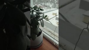 фокусы от Арины