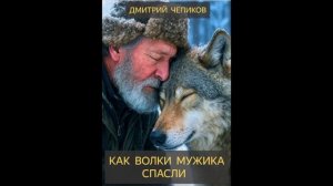Как волки мужика спасли (Дмитрий Чепиков) - рассказ