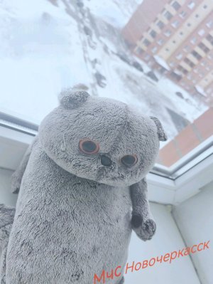 Никифоров Иван Сергеевич.