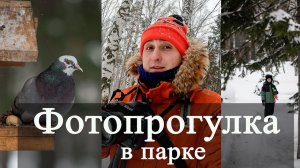 Фотопрогулка в зимнем парке. Фотографирую на Nikon D850 85mm 1.8G. Зимний Лагерный сад. Томск