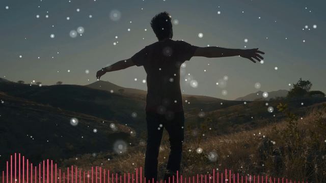 Николай Шершень - Моим друзьям