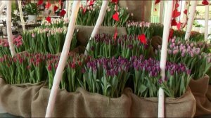 Тюменцы выбирают цветы и необычные подарки для своих любимых