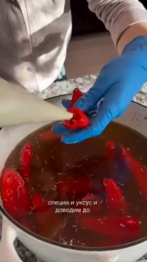 MOV_20260213_144808_069.mp4