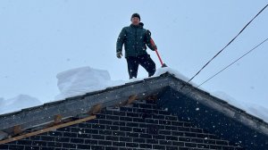 Очистили крышу от снега/Мои эустомы 12.02.2026