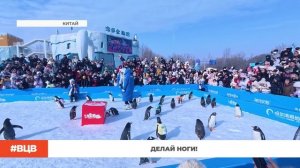 Делай ноги! / В центре внимания - 19 (13.02.2026)