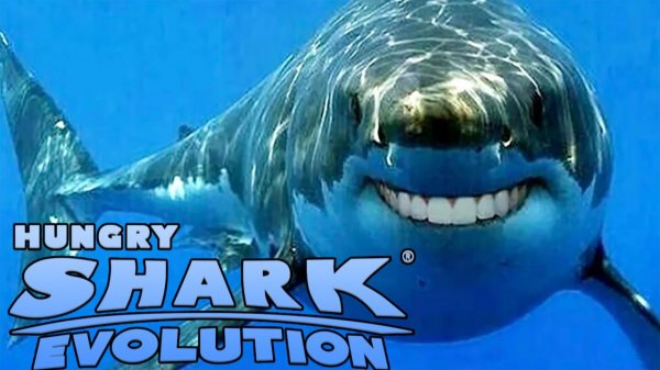 Веселая нарезка акул