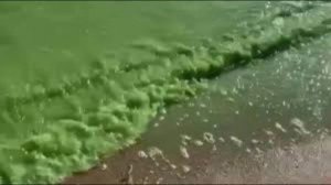 Финский залив в этом году рискует столкнуться с крупнейшим обледенением за последние десять лет