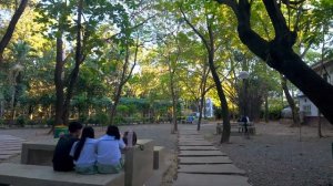 ТРОПИЧЕСКИЙ РЕЙВ 2026 Скрытые городские джунгли в Пасиг-Сити