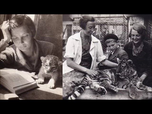 Кинули  В В Чаплина