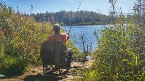 Рыбалка на фидер на торфяном карьере осенью.