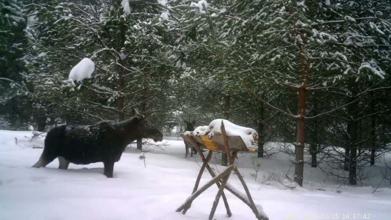 С 23 по 29 февраля 2024