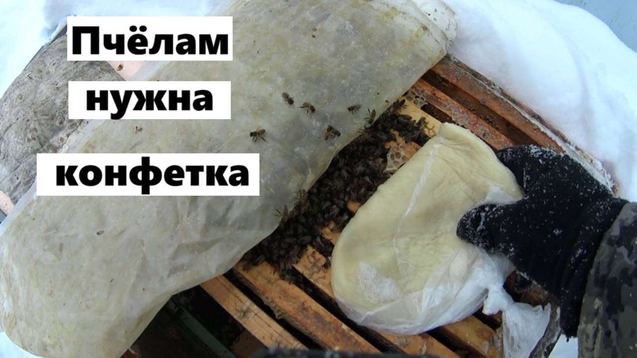 Зимовка пчёл по разным технологиям. смотреть онлайн