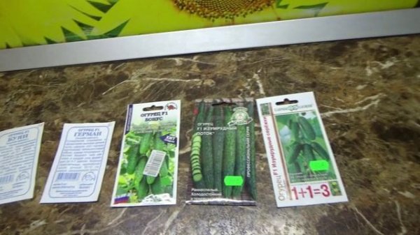 Какие сорта огурцов я купила для выращивания в 2026 году в теплице.