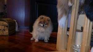 ТАК И ЖИВЁМ...