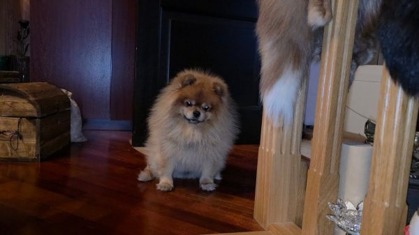 ТАК И ЖИВЁМ...