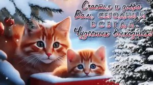 Февральское субботнее утро! Роскошная музыкальная открытка с песней.
