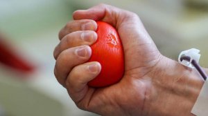 Терапевт развеяла мифы о донорстве крови