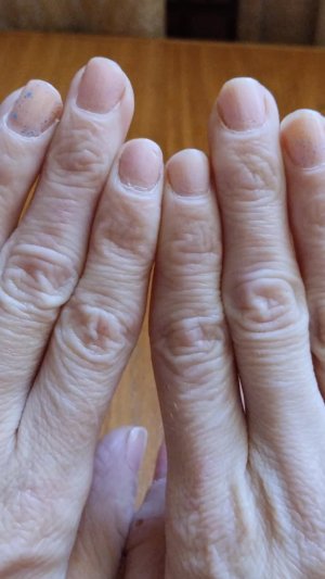 всем привет 👋