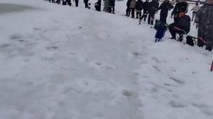 Видеообзор с водоёма, а также вручение призов за первые три пойманные форели.