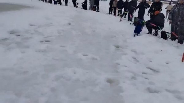 Видеообзор с водоёма, а также вручение призов за первые три пойманные форели.