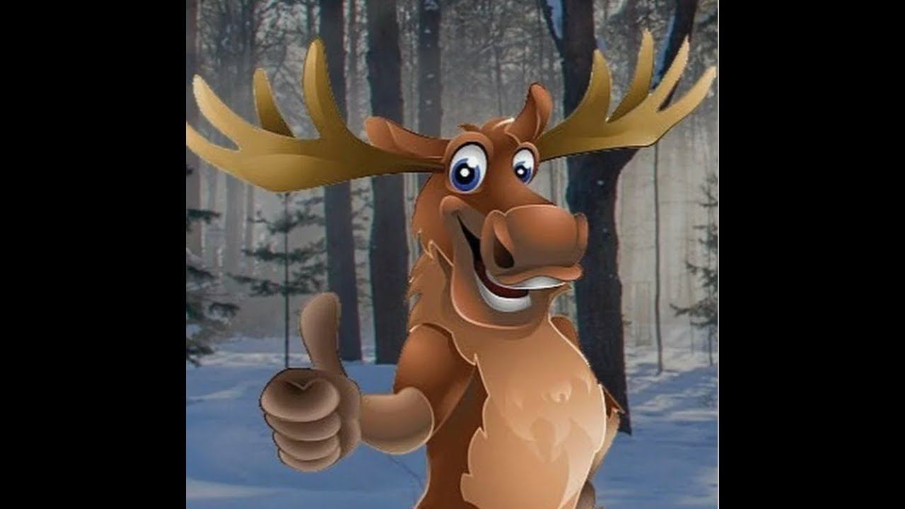 Лосей в лесу как грязи