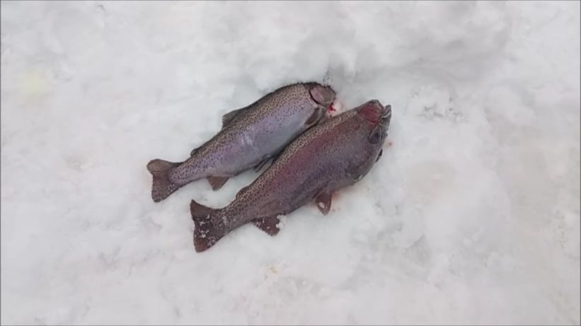 Рыбалка на Верхнем. Клёвое место Лосиный остров. смотреть онлайн